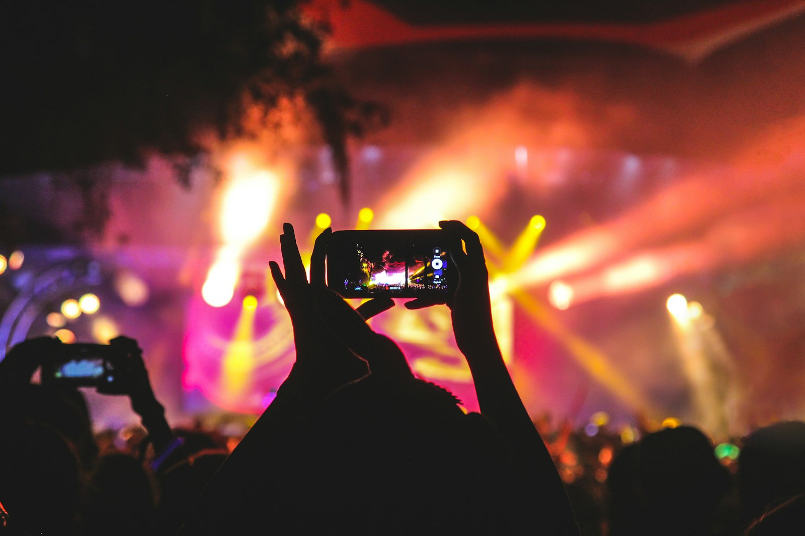 Concert crowd at night